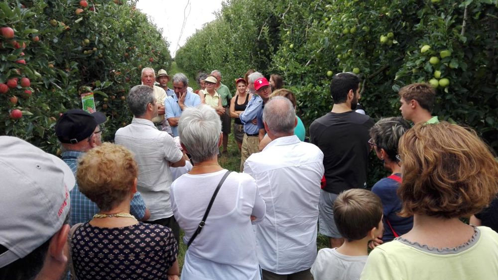 Yannick Fraissinet, membre de l’association ArboNovateur, a déjà accueilli des consommateurs dans ses vergers en août dernier à Albefeuille-Lagarde. © ArboNovateurs